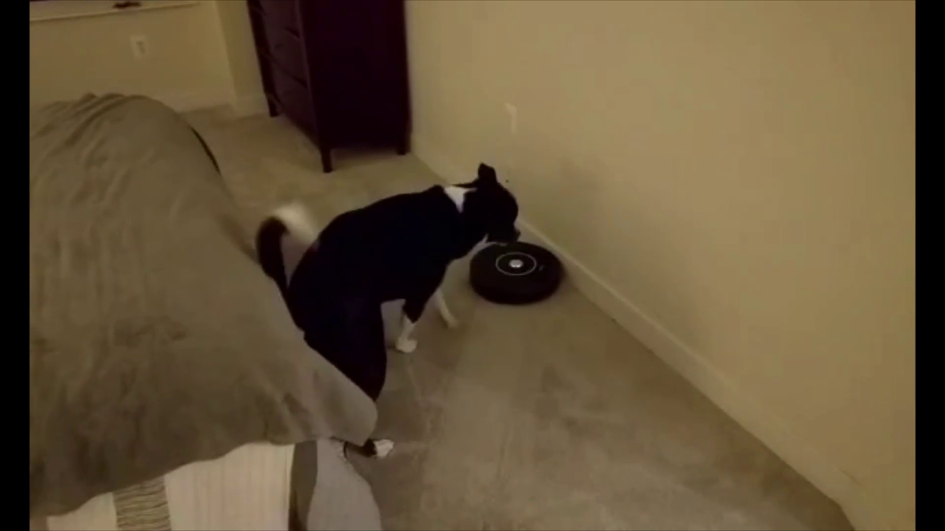 Lewis Meets Roomba II